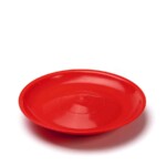 spinning plate cathys r