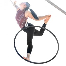 aerial hoop 2